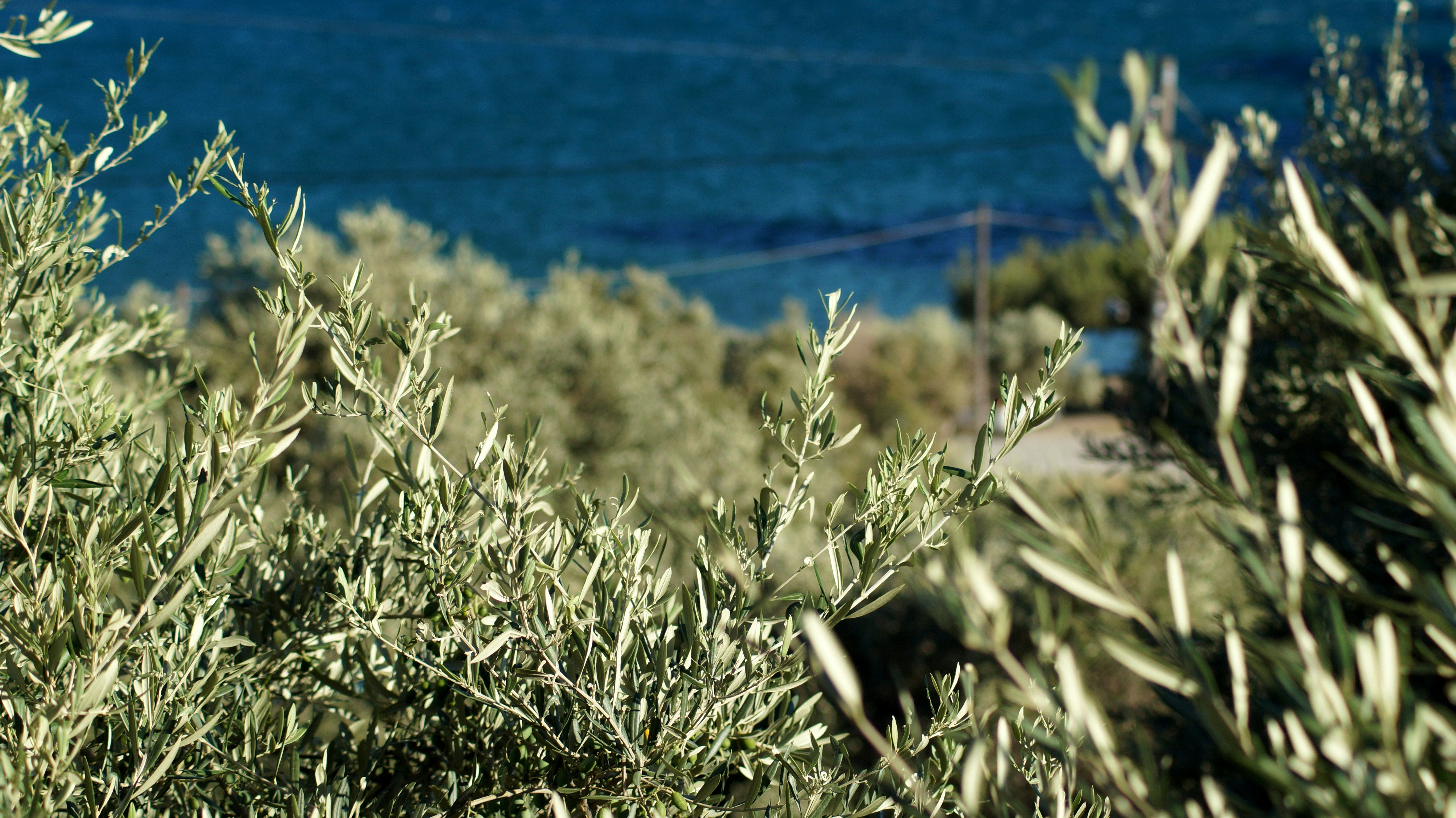 Blog image